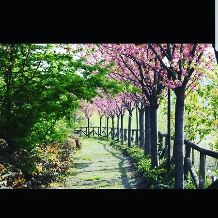 & Breakfast Diana E Ninni